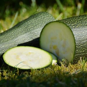 courgette